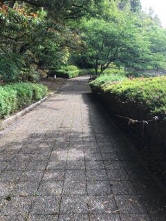 f:id:soshinataoru:20210611201605j:plain
