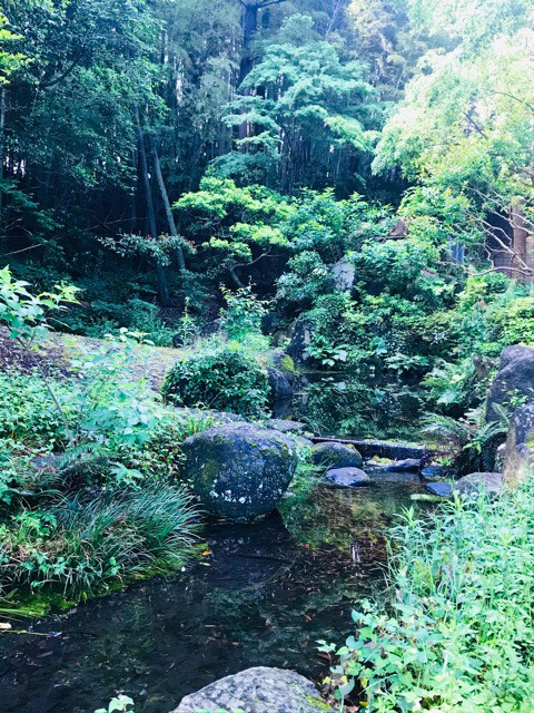 f:id:soshinataoru:20210611202820j:plain