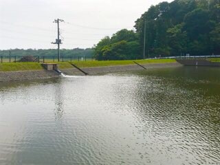 f:id:soshinataoru:20210611214731j:plain