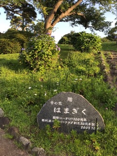 f:id:soshinataoru:20210615173417j:plain