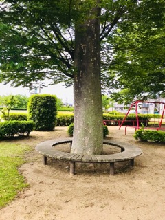 f:id:soshinataoru:20210617121913j:plain