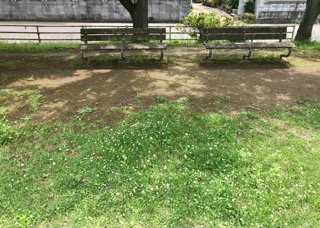 f:id:soshinataoru:20210622134552j:plain