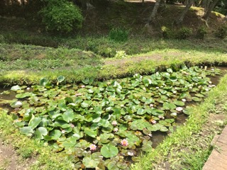f:id:soshinataoru:20211001224809j:plain