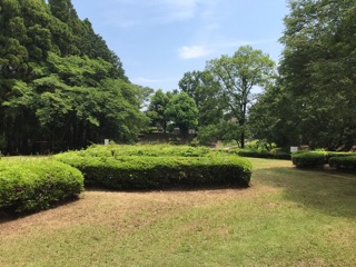 f:id:soshinataoru:20211001225116j:plain