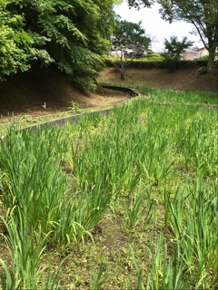 f:id:soshinataoru:20211001225428j:plain