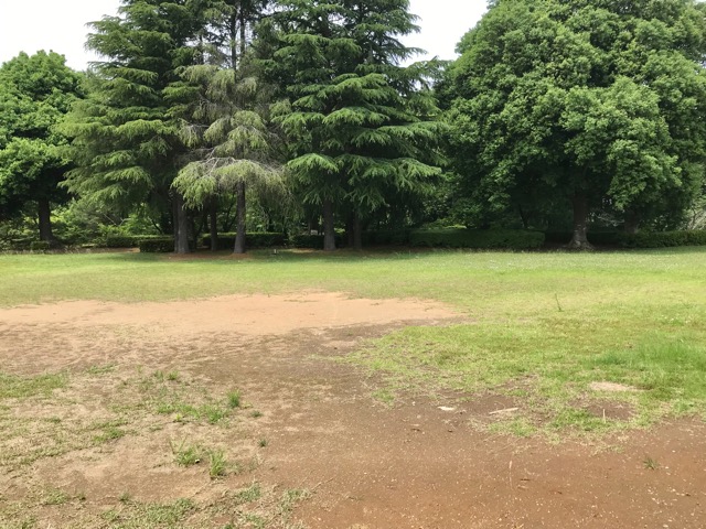 f:id:soshinataoru:20211001225909j:plain
