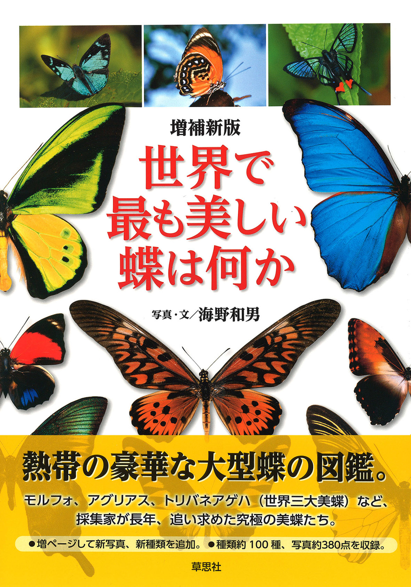 蝶は視覚動物なので、あんなに奇麗なのだ。『増補新版 世界で最も