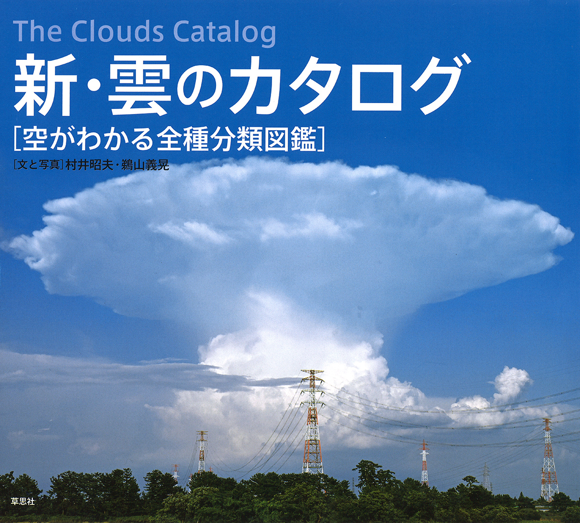雲のかたち 51u30kWDwTL._AC_UF350,