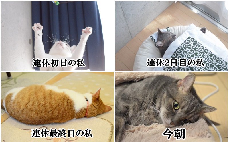 f:id:sosiga:20171009190604j:plain