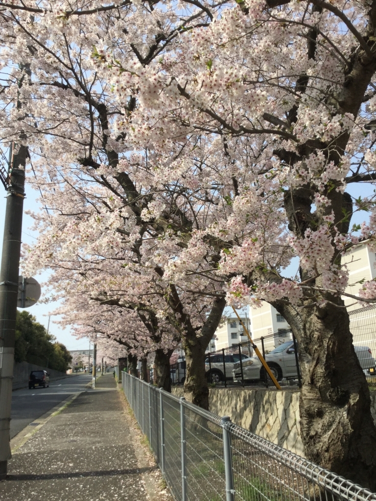 f:id:sosiga:20180415213636j:plain f:id:sosiga:20180415213636j:plain