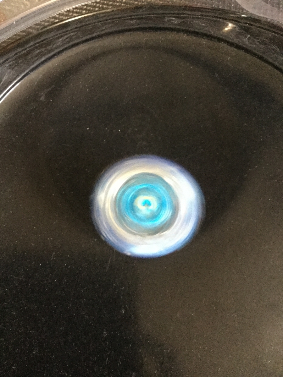f:id:sosiga:20190406115934j:plain f:id:sosiga:20190406115934j:plain