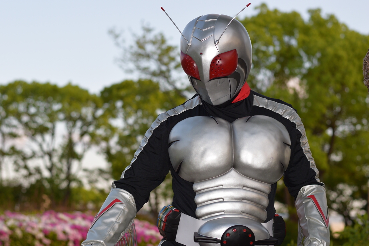 f:id:sosiga:20190428171729j:plain