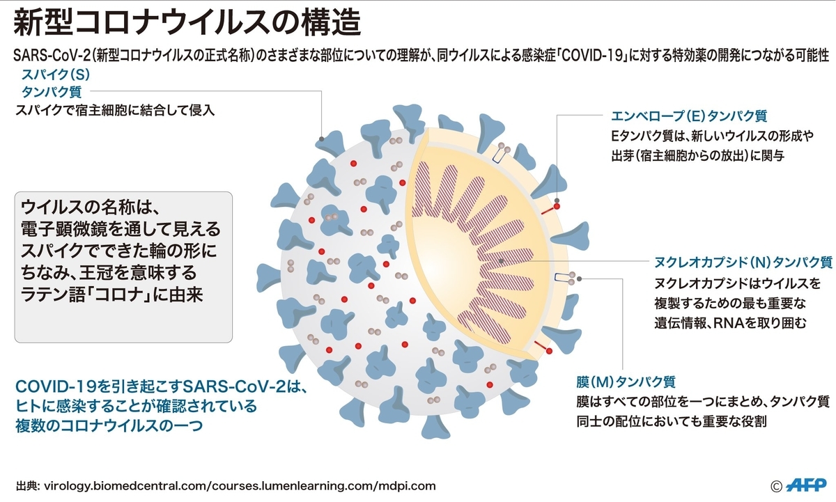 f:id:sosiga:20210107003454j:plain