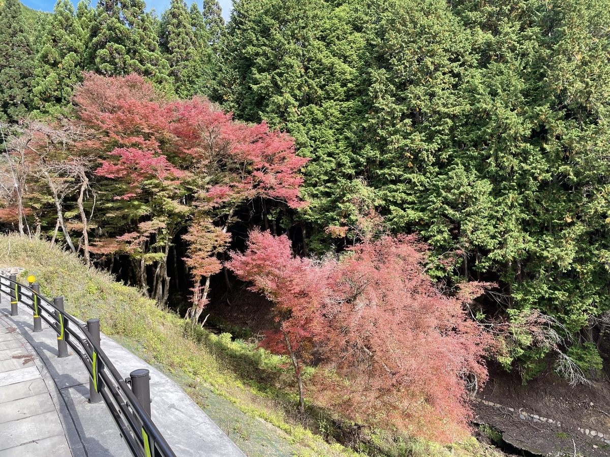 f:id:sosiga:20211106224017j:plain