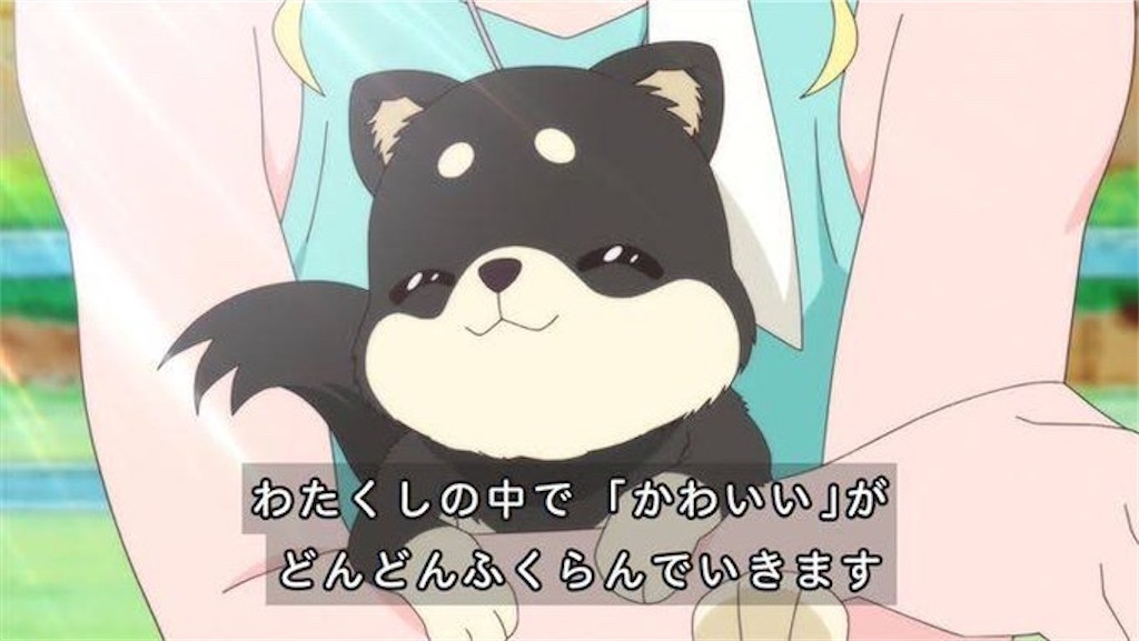 f:id:sosiga:20250302235907j:image