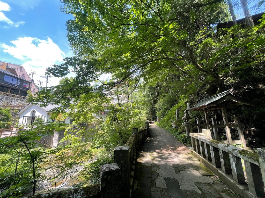 f:id:sosiga:20250731075446j:image