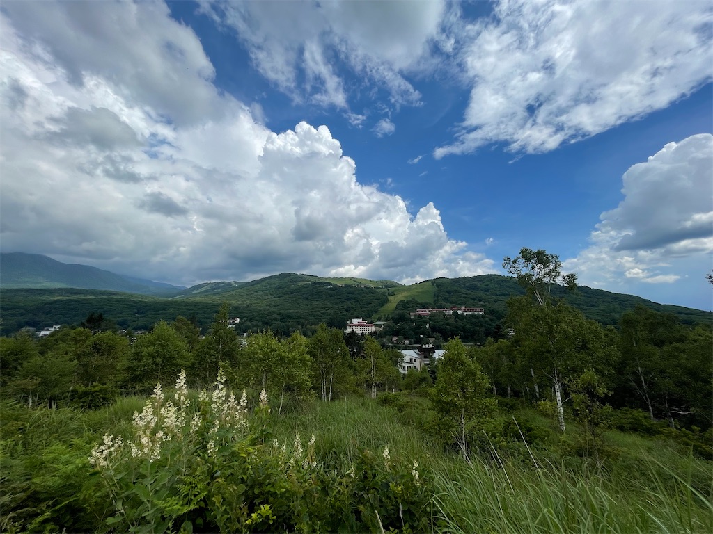 f:id:sosiga:20250807202255j:image f:id:sosiga:20250807202255j:image