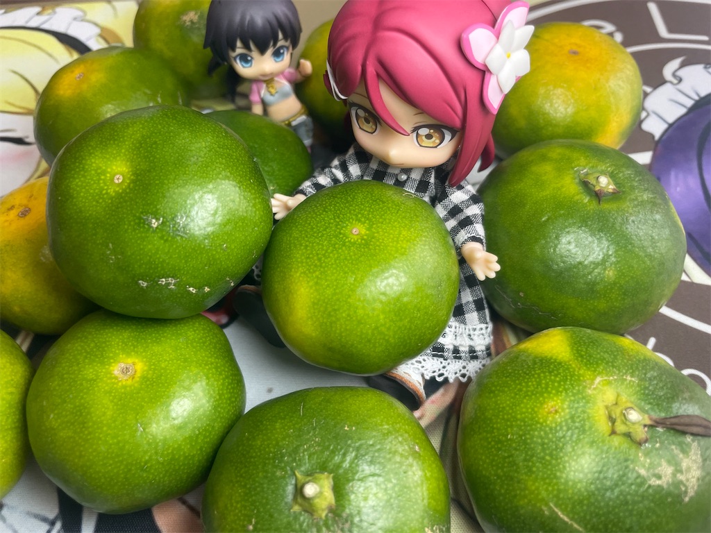 f:id:sosiga:20250927100826j:image