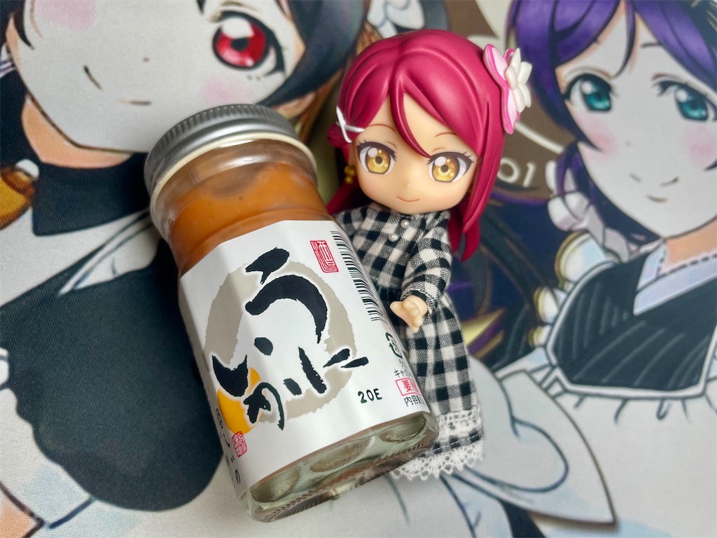 f:id:sosiga:20250927222954j:image