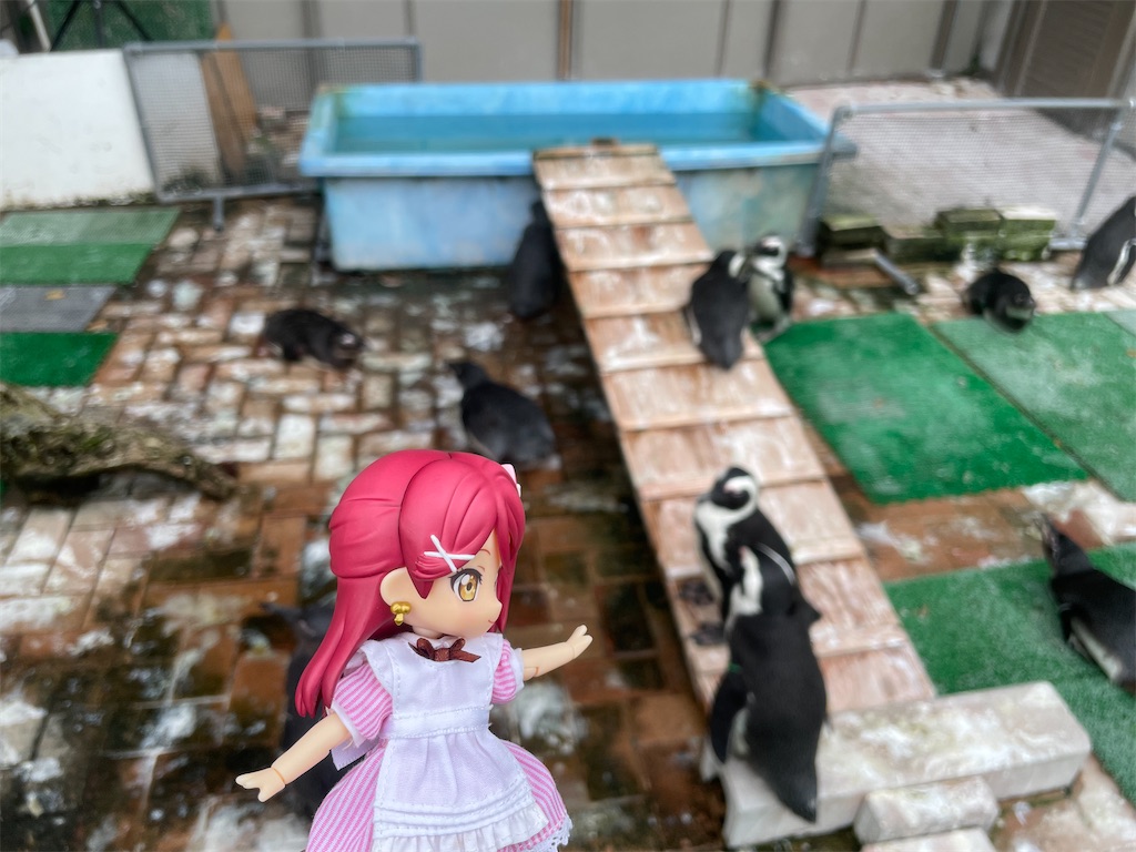 f:id:sosiga:20250930002123j:image