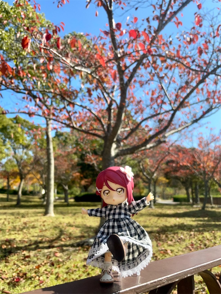 f:id:sosiga:20251108164845j:image