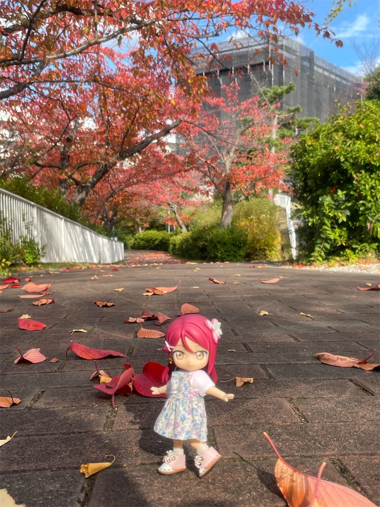 f:id:sosiga:20251124193237j:image