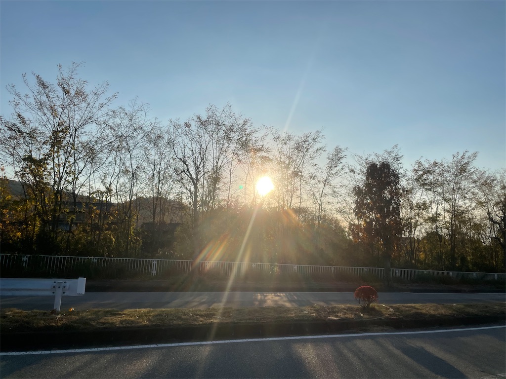 f:id:sosiga:20251126223419j:image