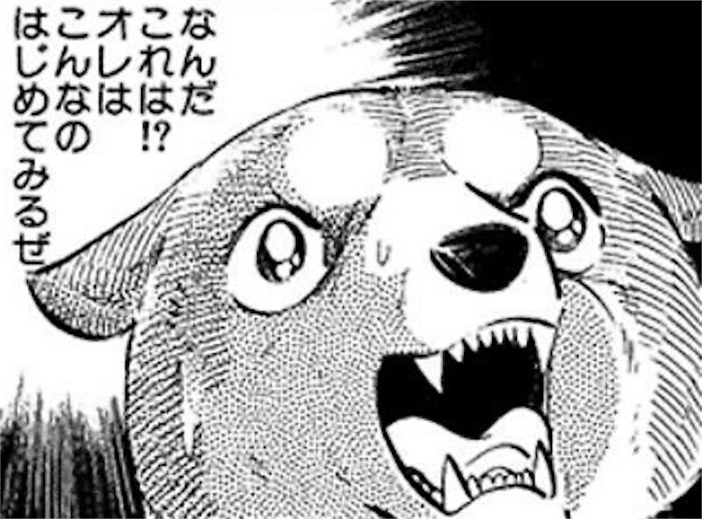 f:id:sosiga:20260102194433j:image