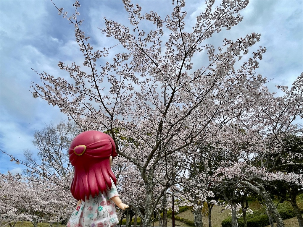 f:id:sosiga:20260405212106j:image