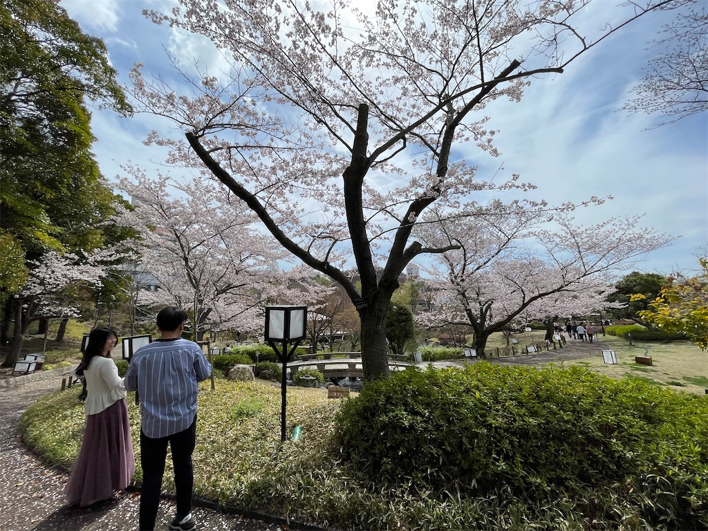 f:id:sosiga:20260405212116j:image