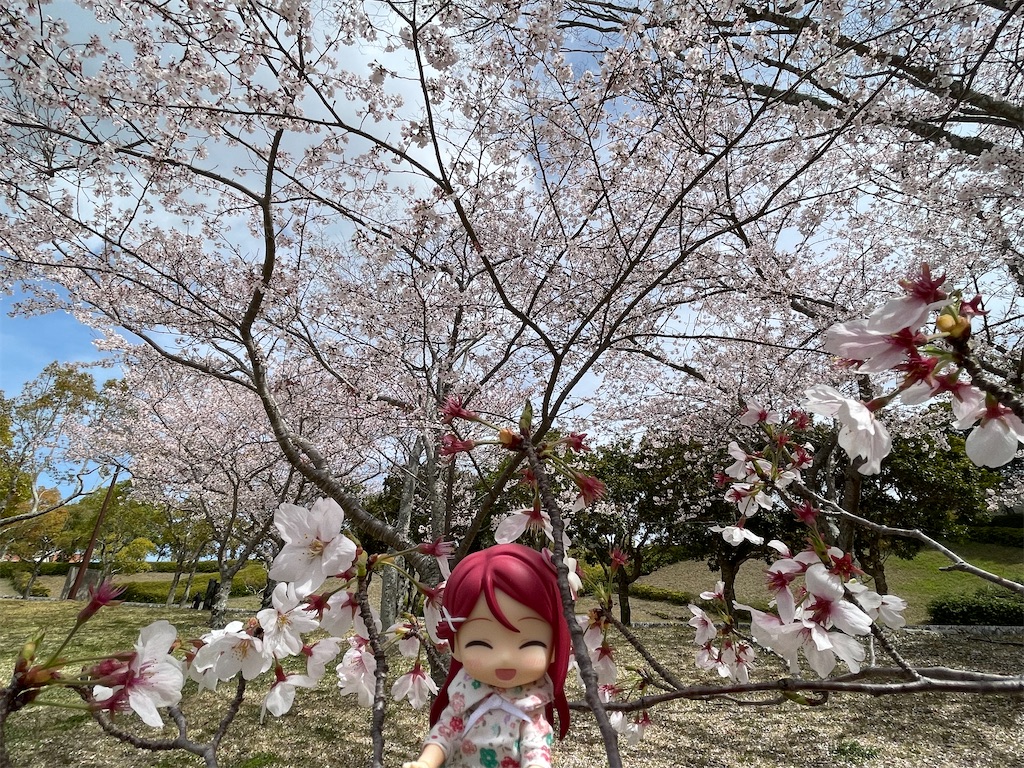 f:id:sosiga:20260405212119j:image