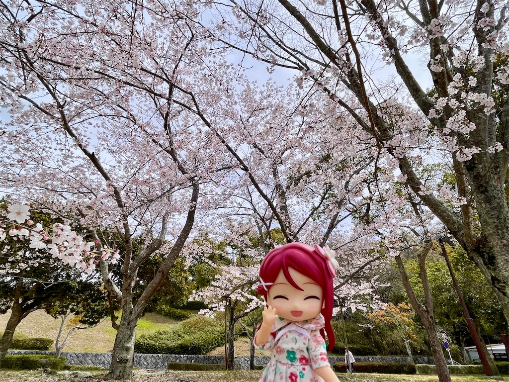 f:id:sosiga:20260405212126j:image