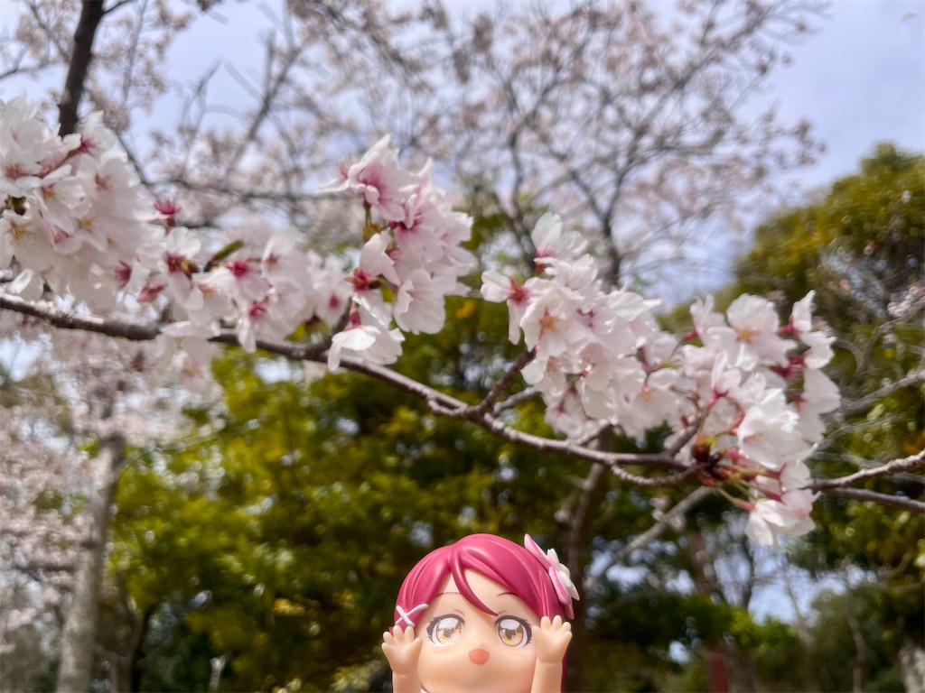 f:id:sosiga:20260405212130j:image