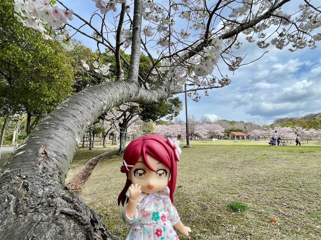f:id:sosiga:20260405212137j:image