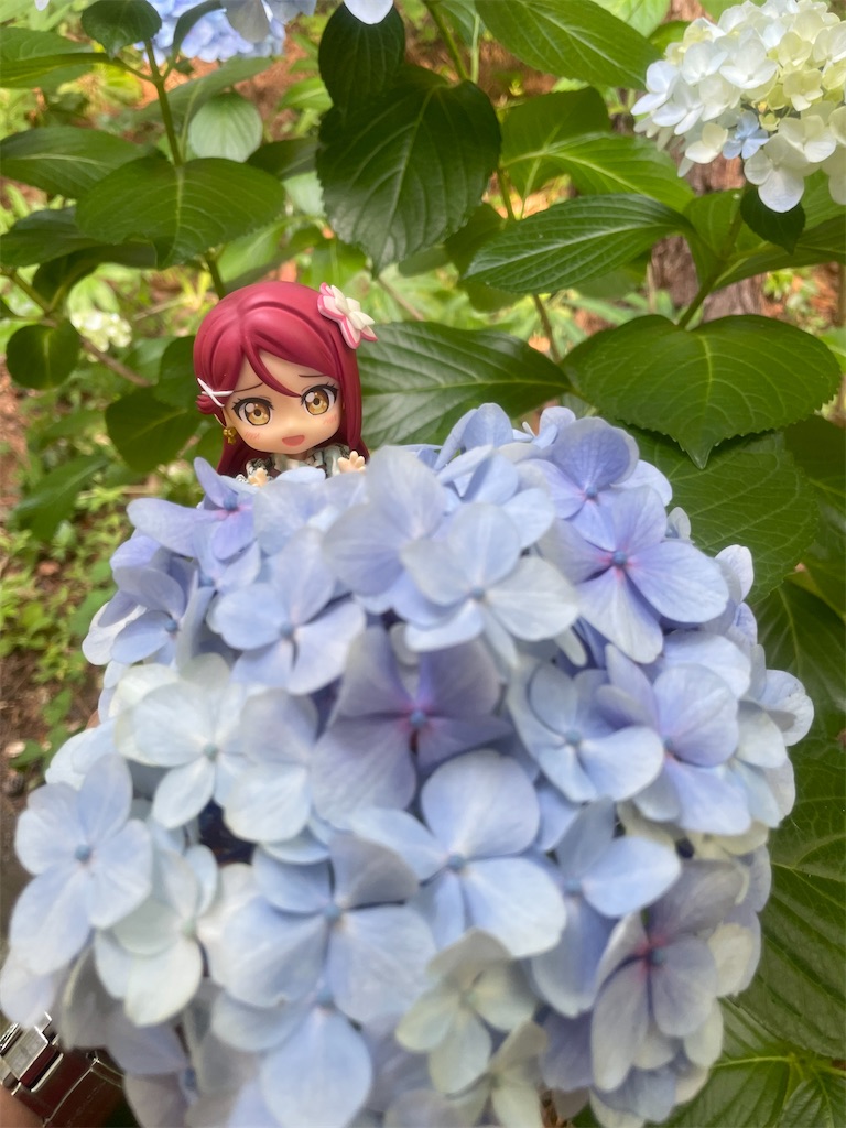 f:id:sosiga:20260614083318j:image