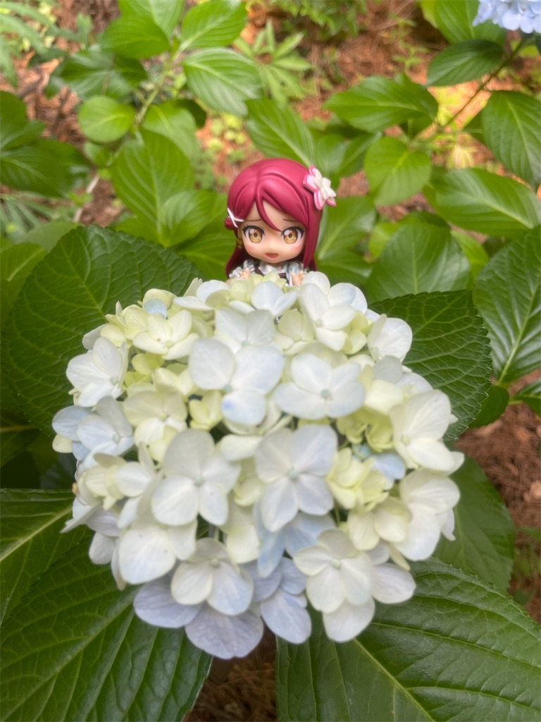 f:id:sosiga:20260614083429j:image
