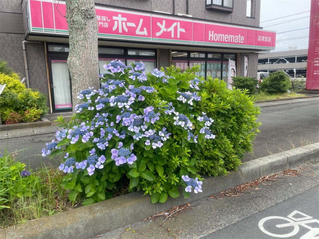 f:id:sosiga:20260615160319j:image