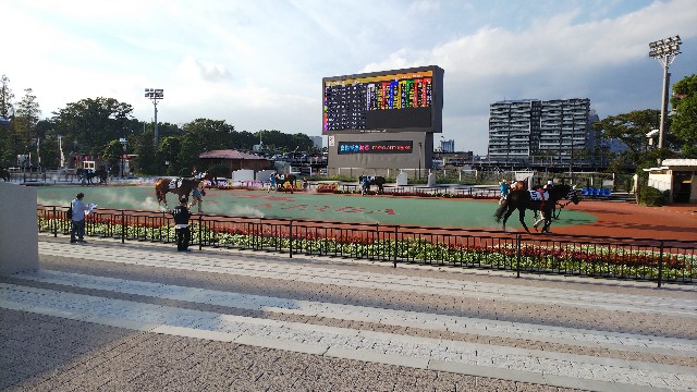 f:id:sosunser:20190920131119j:image