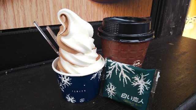 f:id:sosunser:20200117161504j:plain