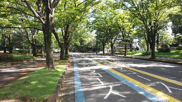 f:id:sosunser:20200916161140j:image