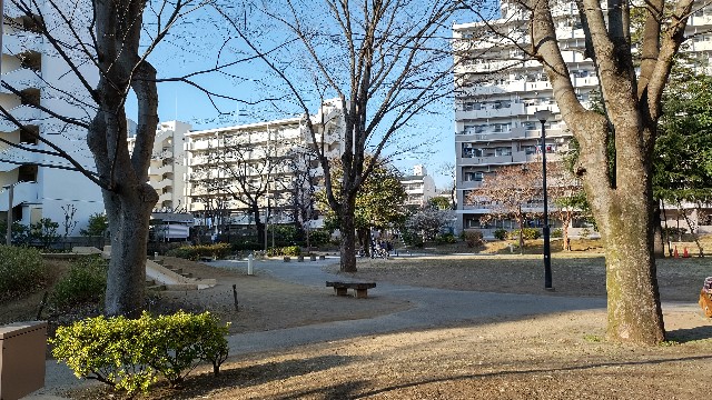 f:id:sosunser:20210225234911j:image f:id:sosunser:20210225234911j:image