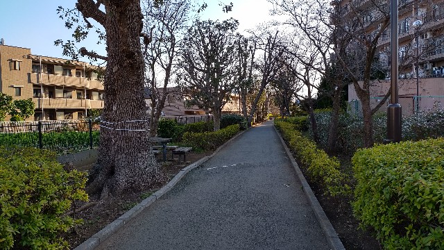 f:id:sosunser:20210225235143j:image f:id:sosunser:20210225235143j:image