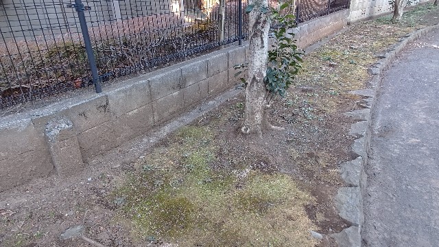 f:id:sosunser:20210225235445j:image f:id:sosunser:20210225235445j:image