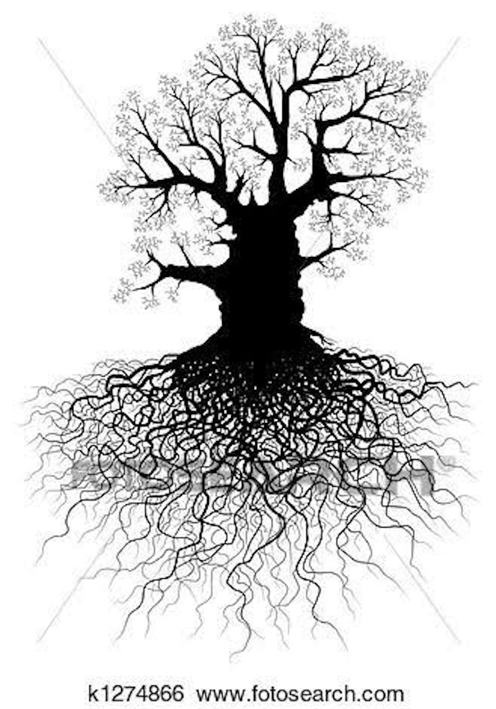 f:id:sotachang:20200218154829j:image f:id:sotachang:20200218154829j:image