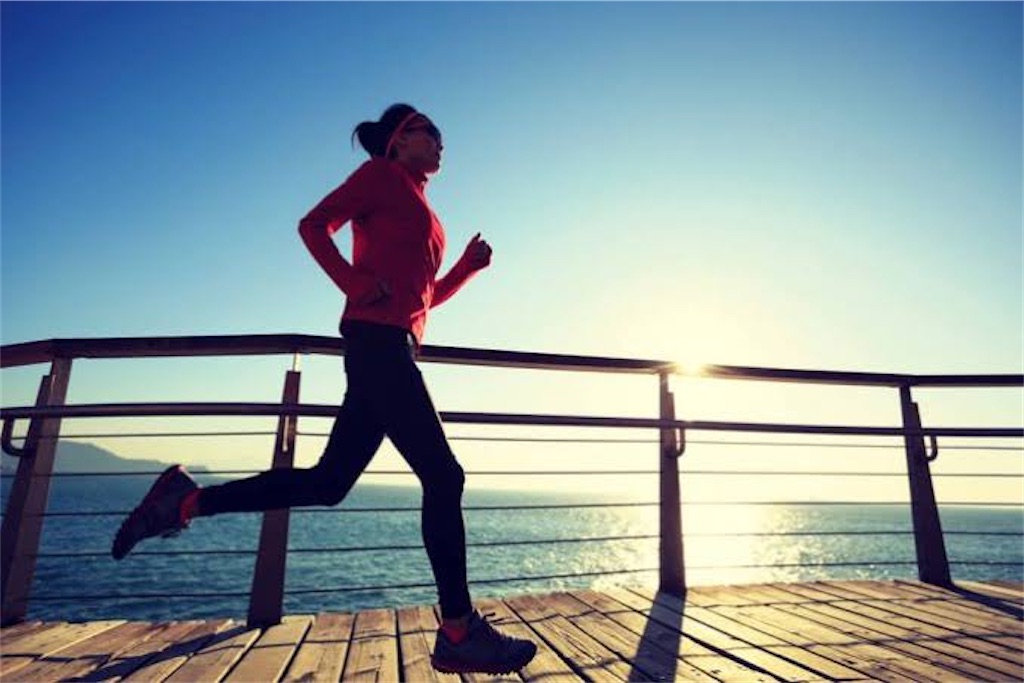 f:id:sotachang:20200218155537j:image f:id:sotachang:20200218155537j:image