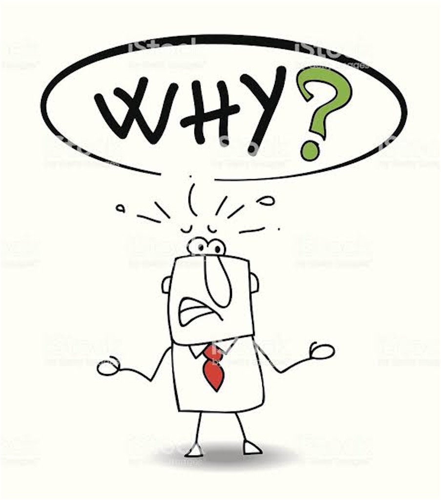 f:id:sotachang:20200220132536j:image f:id:sotachang:20200220132536j:image