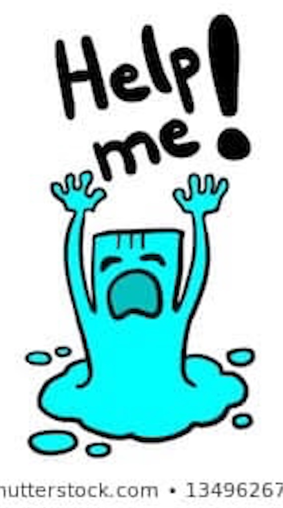 f:id:sotachang:20200223165524j:image f:id:sotachang:20200223165524j:image