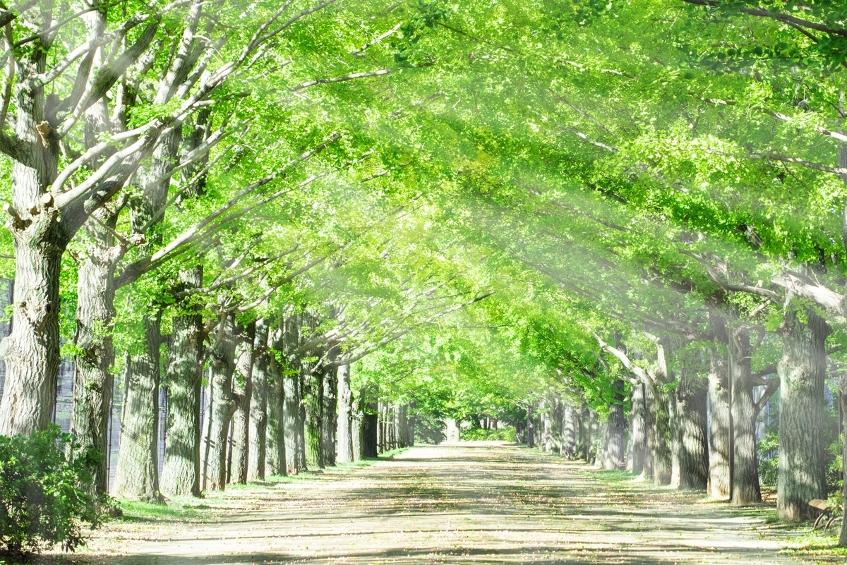 f:id:sotetsu-ismart:20190712221006j:plain f:id:sotetsu-ismart:20190712221006j:plain