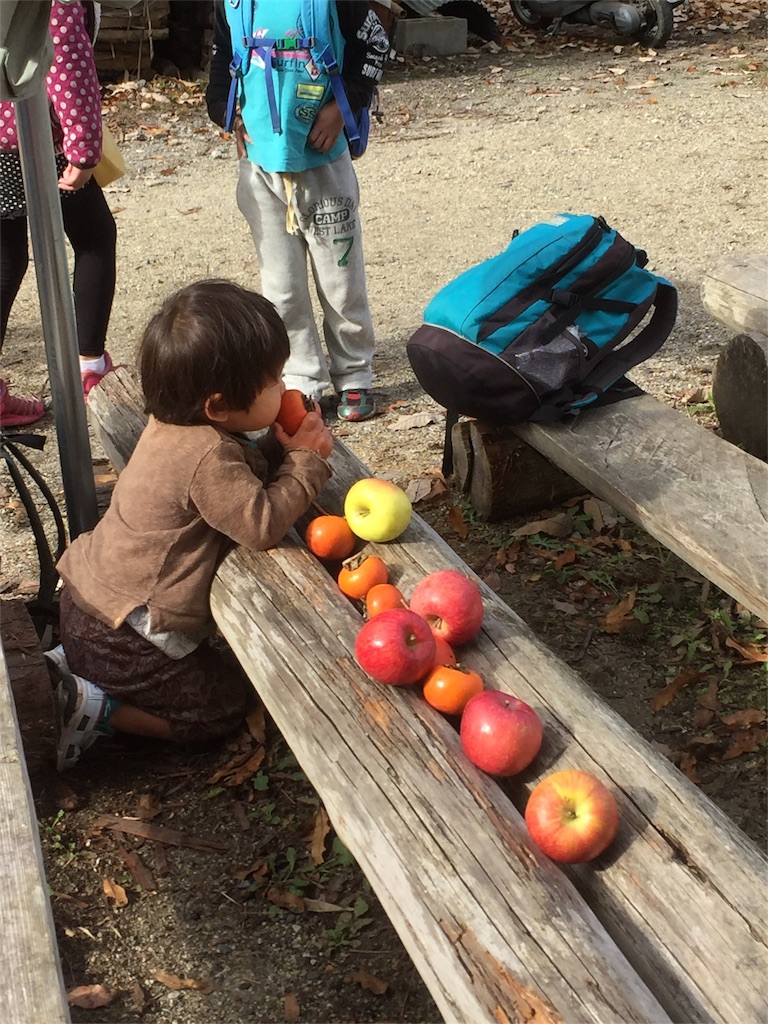f:id:sotocco:20161203225149j:image f:id:sotocco:20161203225149j:image