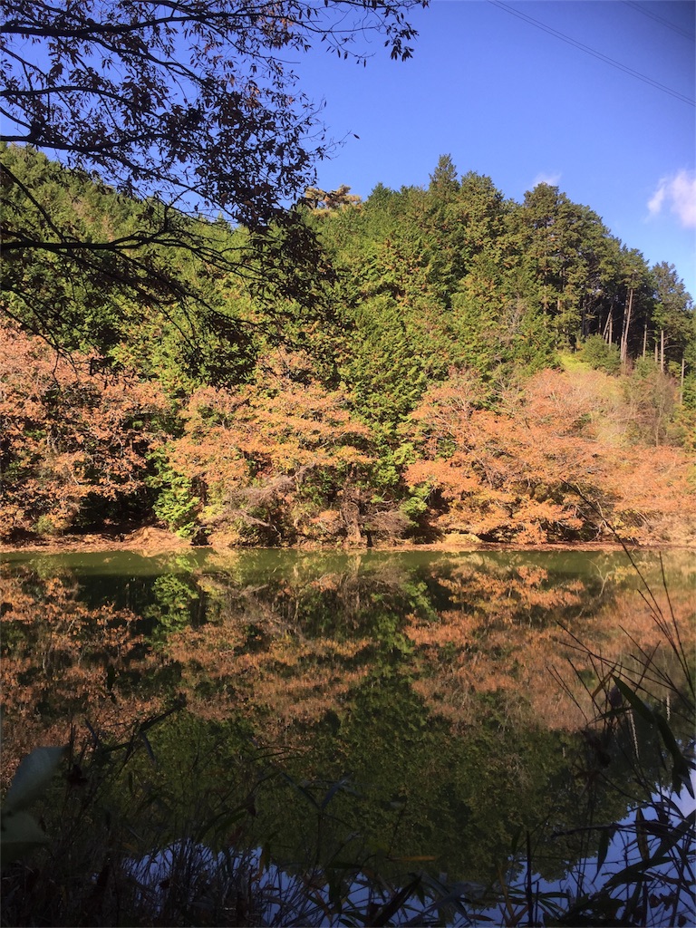 f:id:sotocco:20161203225254j:image f:id:sotocco:20161203225254j:image